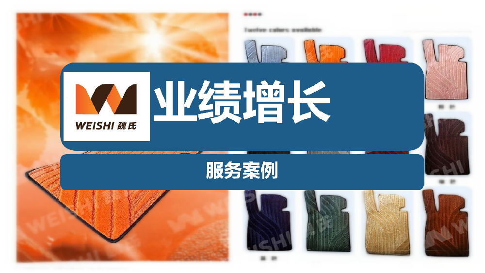 汽车用品企业业绩增长项目