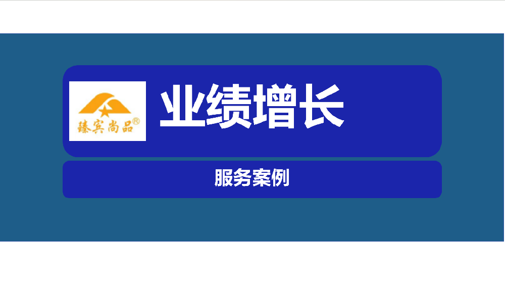 商贸企业业绩增长项目