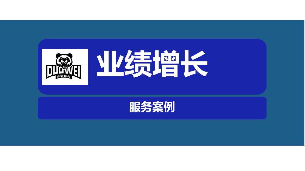 体育用品企业业绩增长项目
